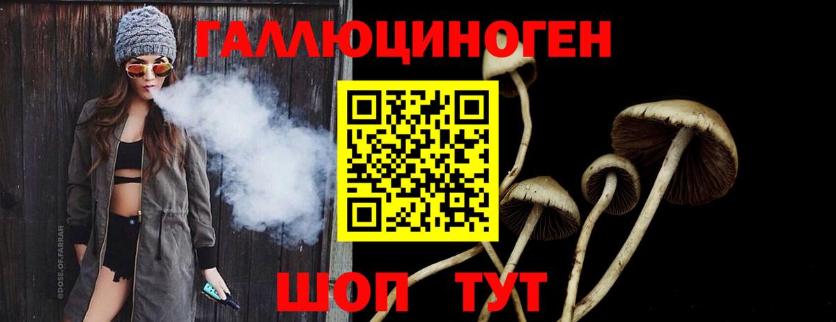 Лесной  Псилоцибиновые грибы Psilocybine cubensis  Галлюциногенные грибы мухоморы  Вход с VPN 